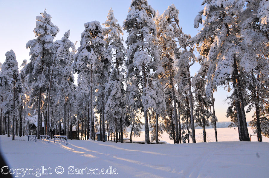 Winter photos / Fotos de invierno / Photos de l'hiver