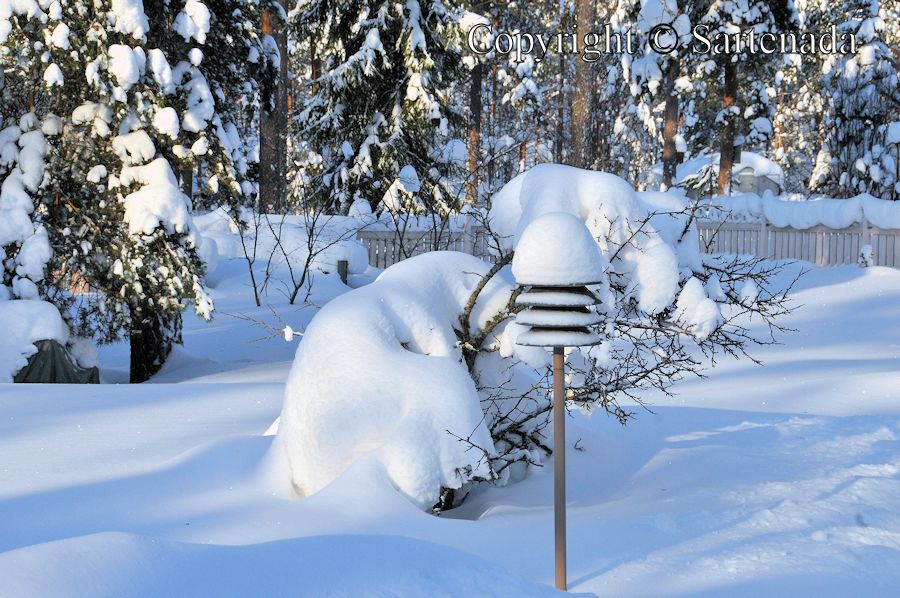 Snow in Finland / Nieve en Filandia / Neige en Finlande / Neve na Finlândia