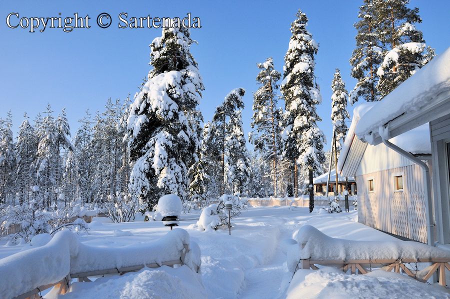 Snow in Finland / Nieve en Filandia / Neige en Finlande / Neve na Finlândia