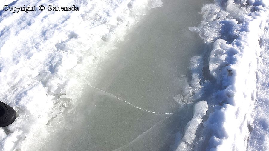 Tracks and cracks on ice  /  Pistas y grietas sobre hielo   / Pistes et fissures sur glace  / Pistas e fendas no gelo