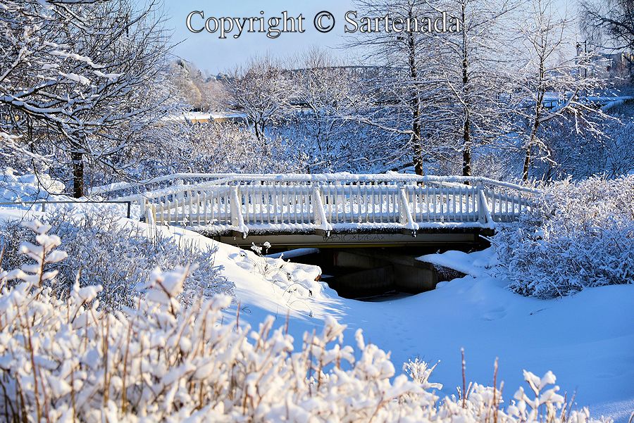 White bridges in winter / Puentes blancos en invierno / Ponts Blanc en hiver / Pontes brancas no inverno