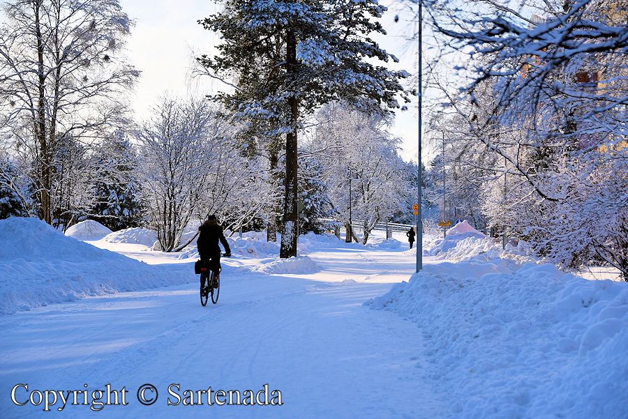 Winter biking 2017 / Ciclismo en invierno 2017 / Cyclisme en hiver 2017 / Ciclismo de inverno 2017