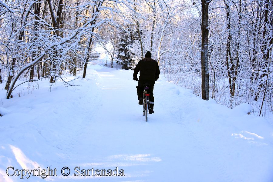 Winter biking 2017 / Ciclismo en invierno 2017 / Cyclisme en hiver 2017 / Ciclismo de inverno 2017