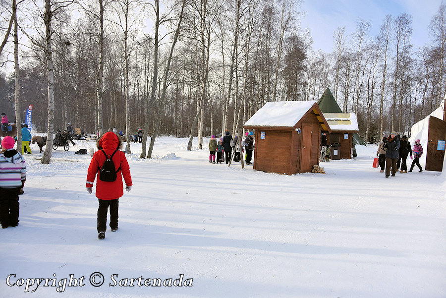Winter walk / Paseo de invierno / Balade hivernale / Caminhada de inverno